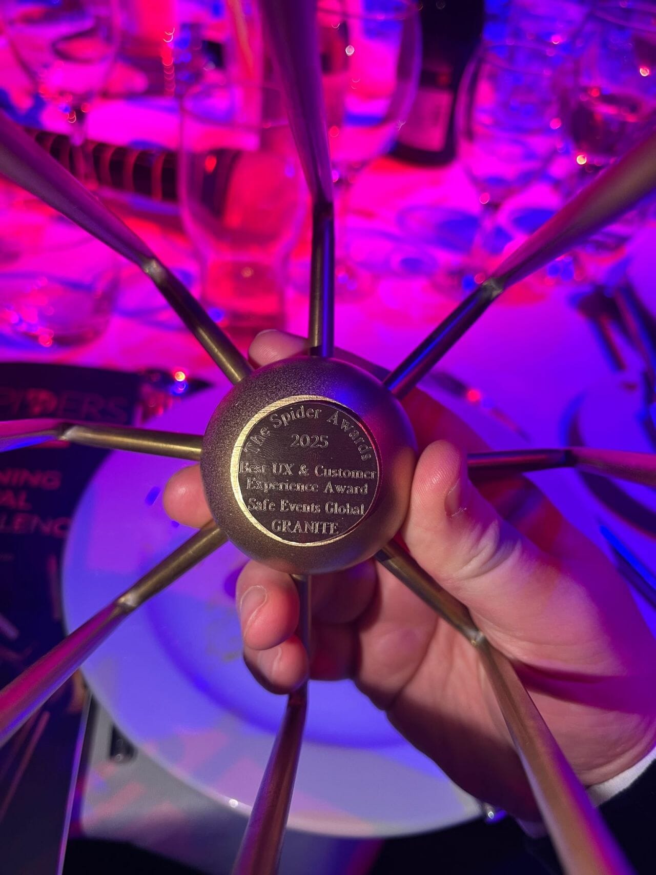 Spider Award for best UX & Customer Experience