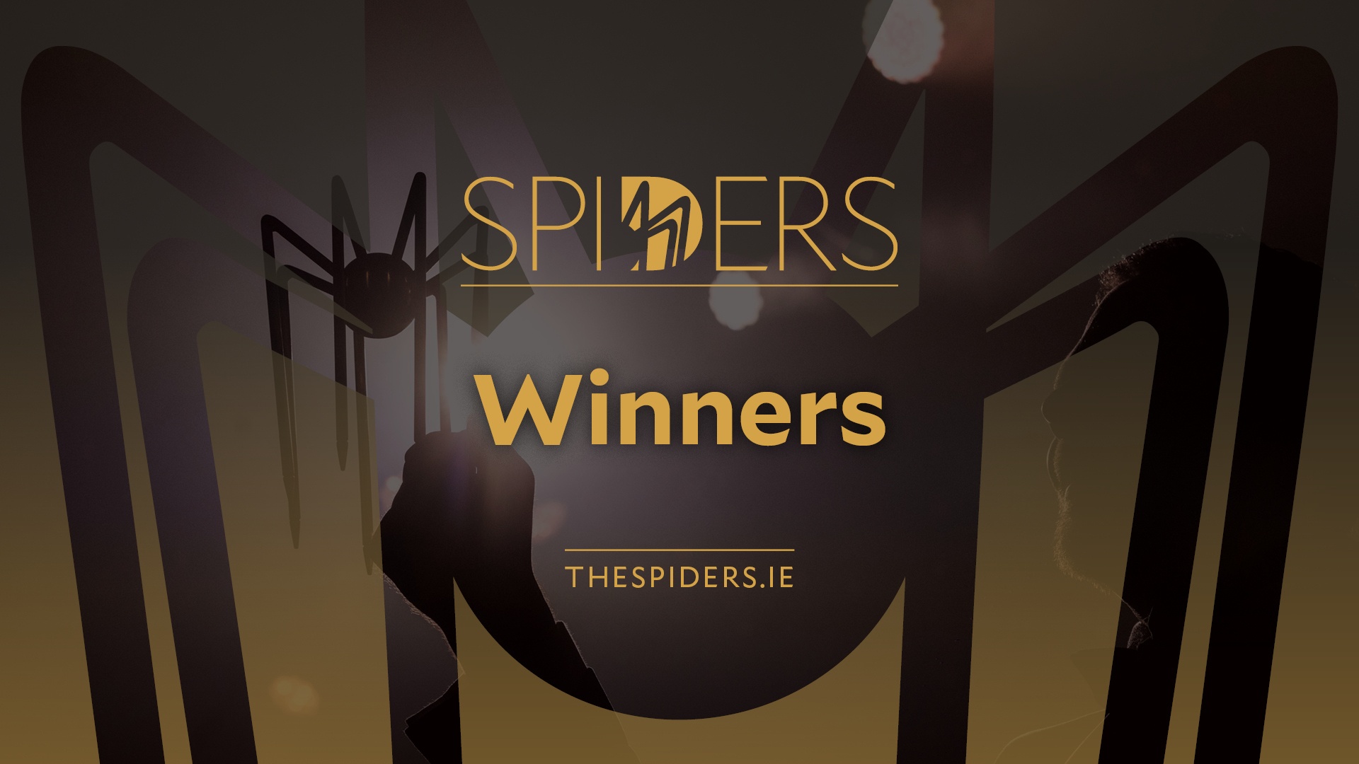 Safe Events Global wins Spider Award