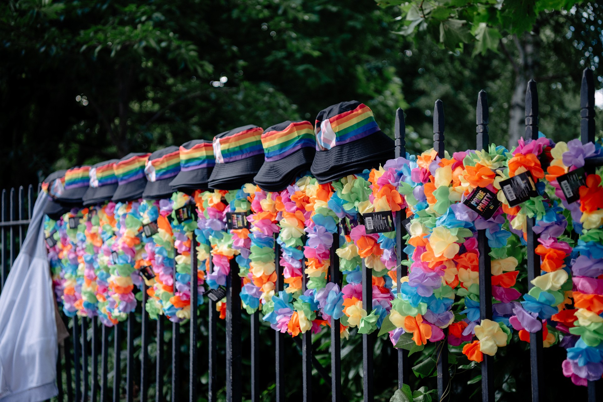 Dublin Pride, safety, team