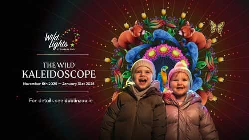 wild lights kaleidoscope